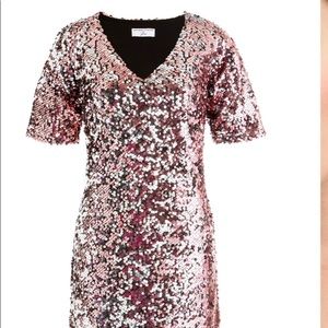 J. Crew Universal Standard Dress (Sequin- Pink)